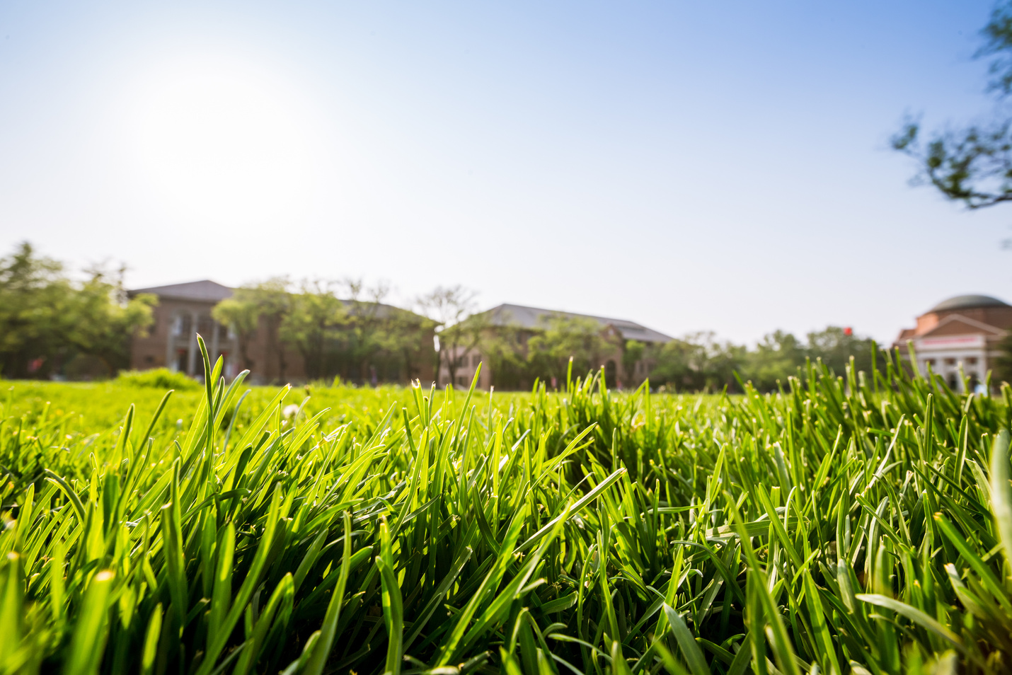 Pasture Ground